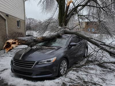 Ice-loaded tree down across a parked car after freezing rain